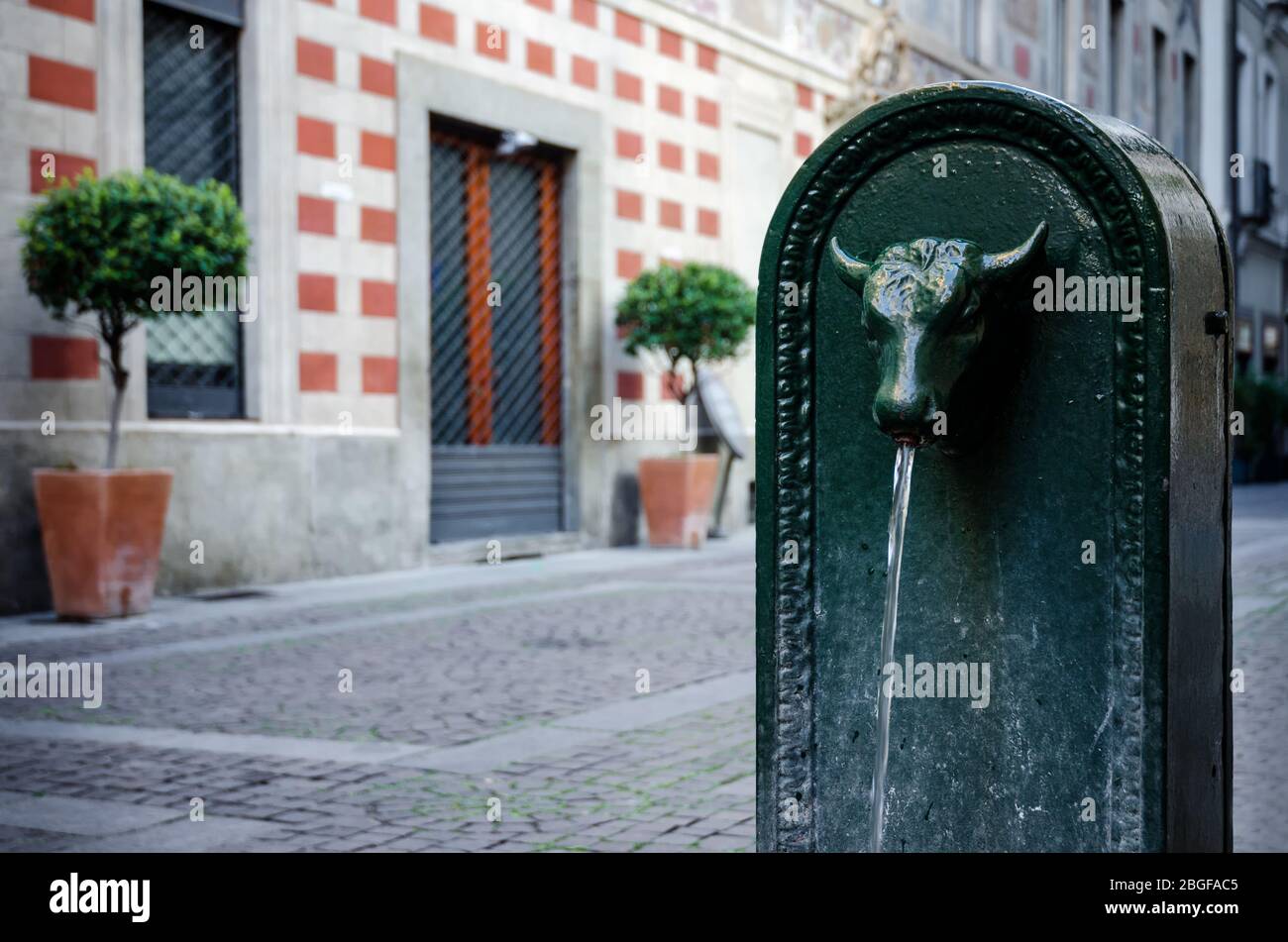 'Toret', typical public fountain of Turin (Italy). There are almost 800 'toret' in the city, all made of cast iron and with bull shape in XIX century Stock Photo
