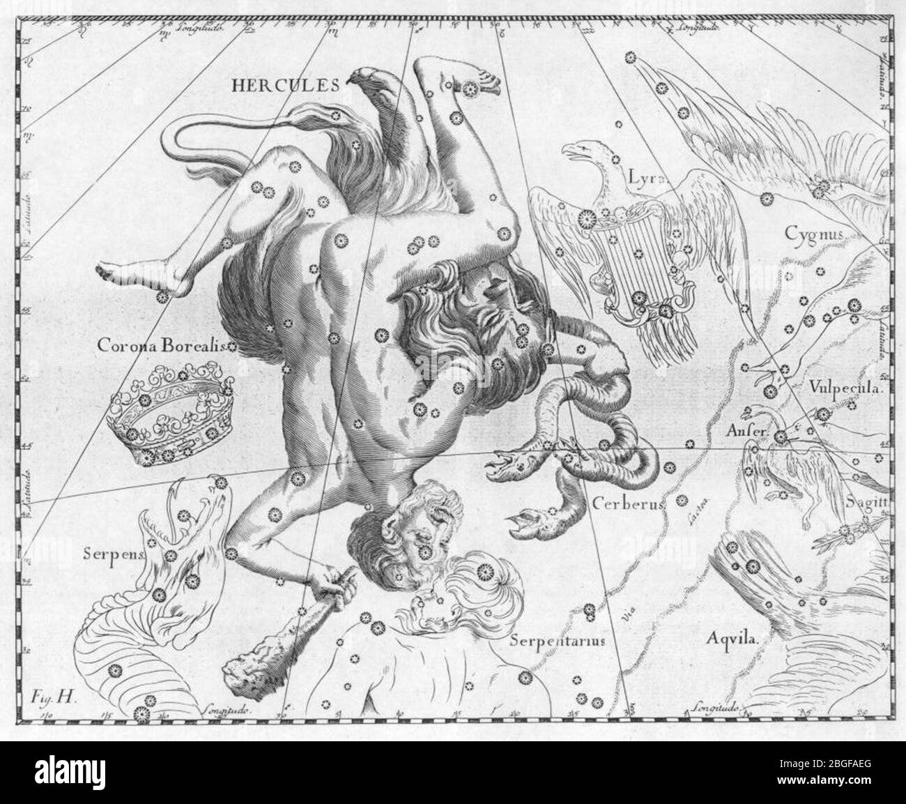 Hevelius hercules hires stock photography and images Alamy