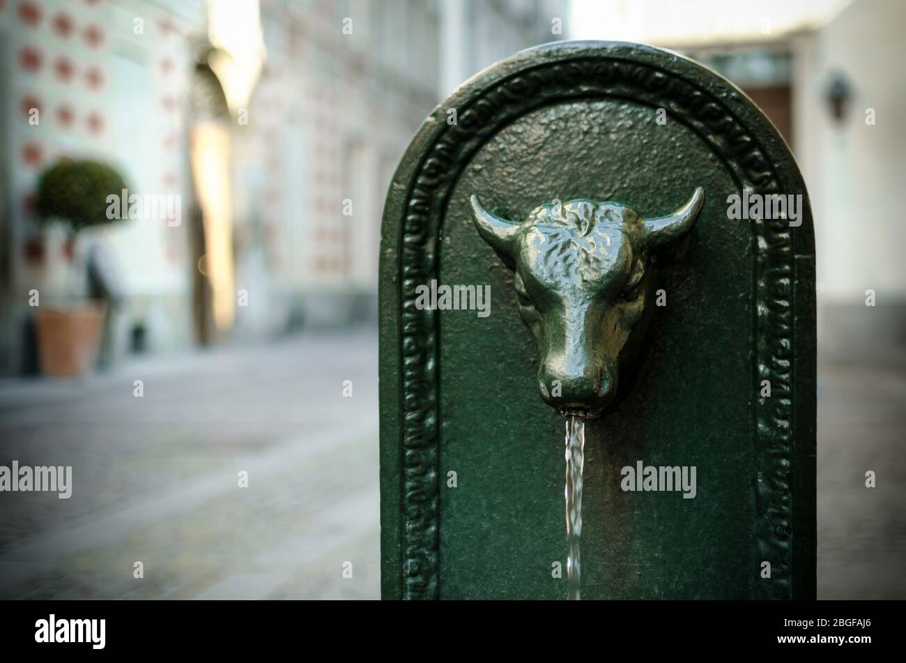 Toret, typical public fountain of Turin (Italy). There are almost 800 'toret' in the city, all made of cast iron and with bull shape in XIX century Stock Photo