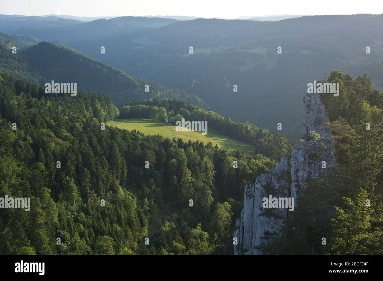 Blick vom Felskamm les Sommetres in die Schlucht des Doubs im gleichnamigen Naturpark Stock Photo