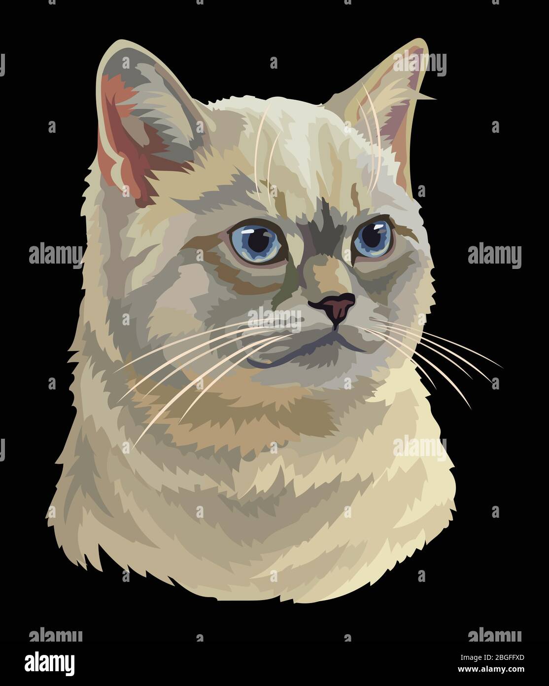 Colorful Vector Drawing Portrait Of British Cat Isolated On Black Background Realistic Portrait Of Cat Vector Illustration Of Fluffy Cat Image For Stock Vector Image Art Alamy In next steps we'll take care of every single element of a cat's face. alamy