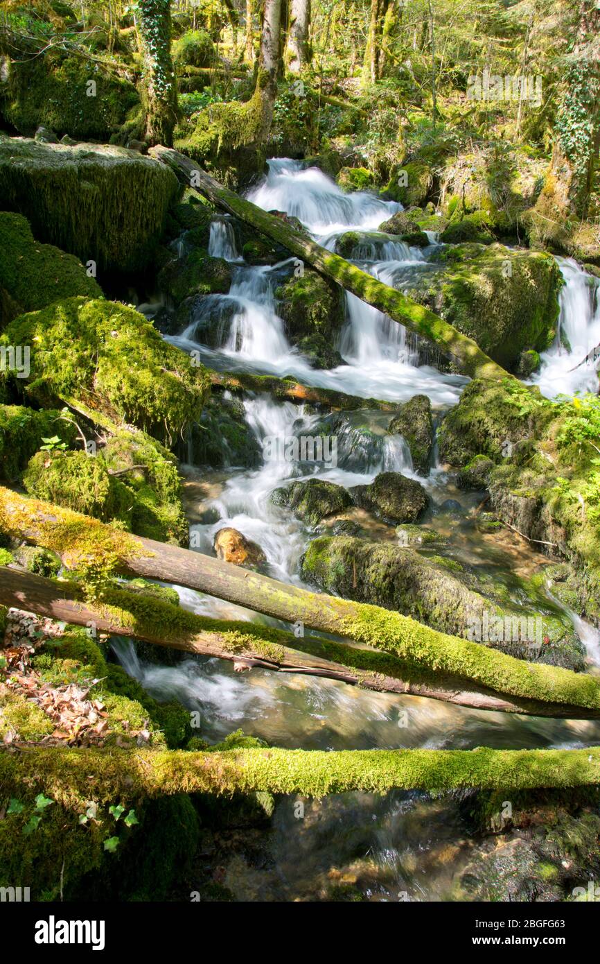 Die Quellen von Blanches Fontaines in der Pichoux-Schlucht im Kanton Jura, Schweiz Stock Photo