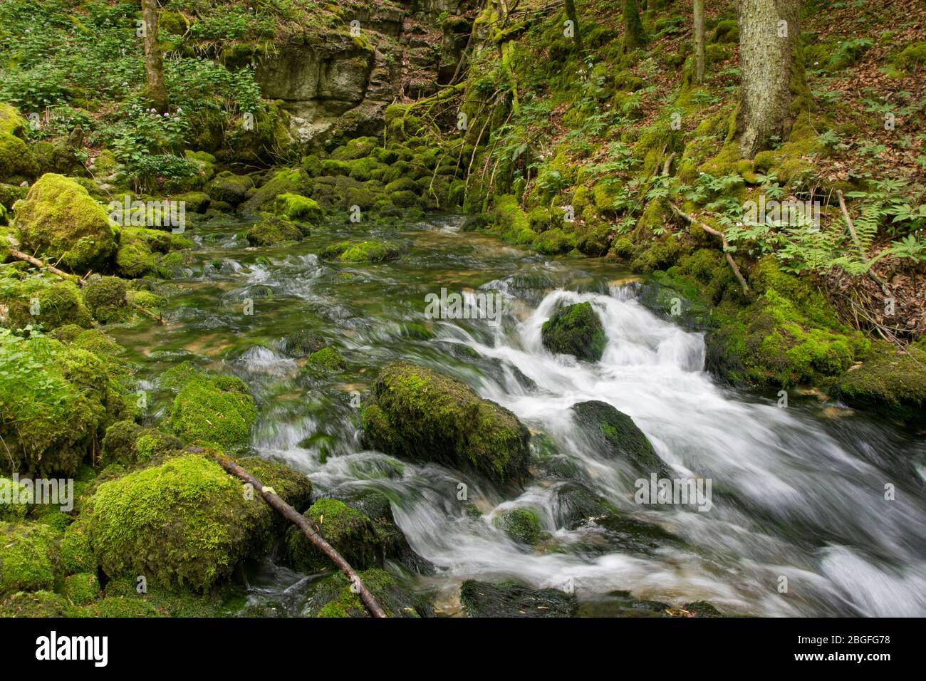 Die Karstquelle des Dou im Berner Jura, Schweiz Stock Photo