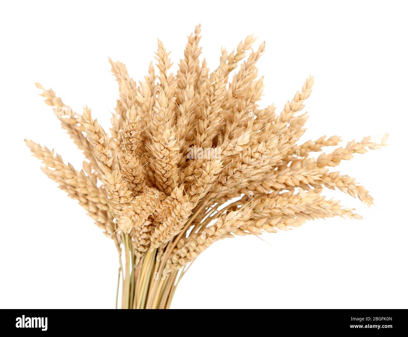 Sheaf of wheat isolated on white Stock Photo Alamy