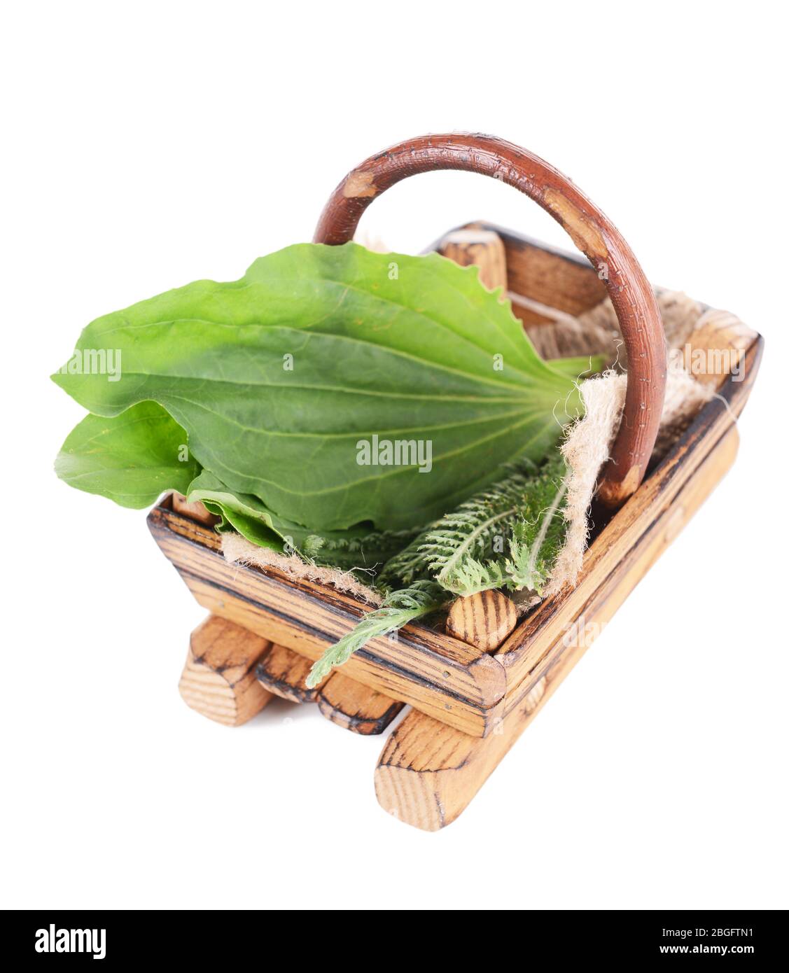 Medicinal herbs in wooden basket isolated on white Stock Photo