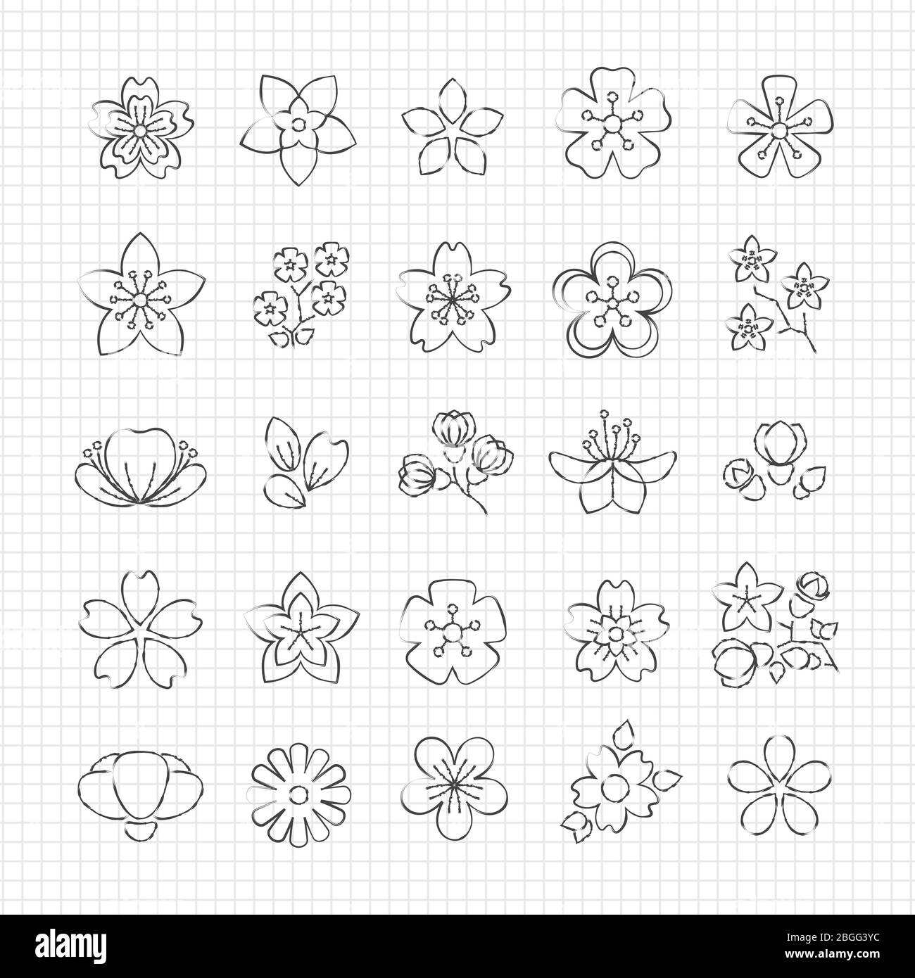 Pencil drawing blossom flowers line icons of set. Vector ...