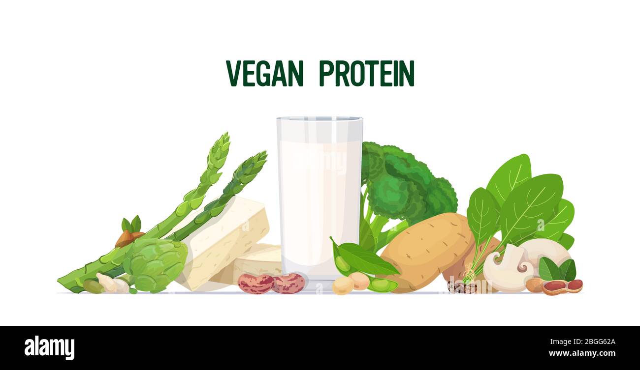 herbs vegetables plant based tofu milk organic dairy free natural raw food composition vegan protein concept horizontal vector illustration Stock Vector
