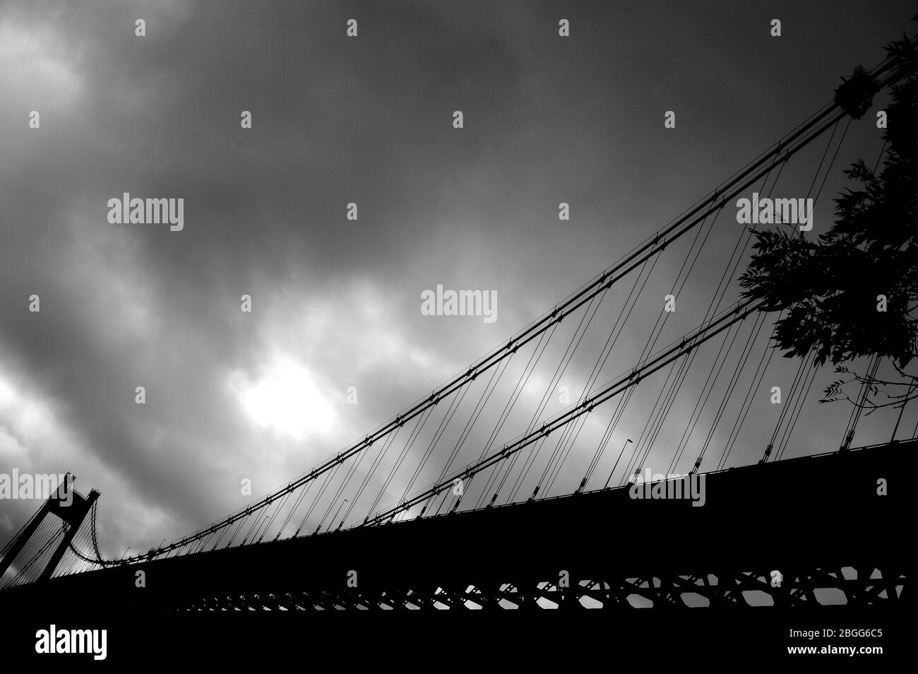 Large suspension bridge spanning a wide river Stock Photo - Alamy