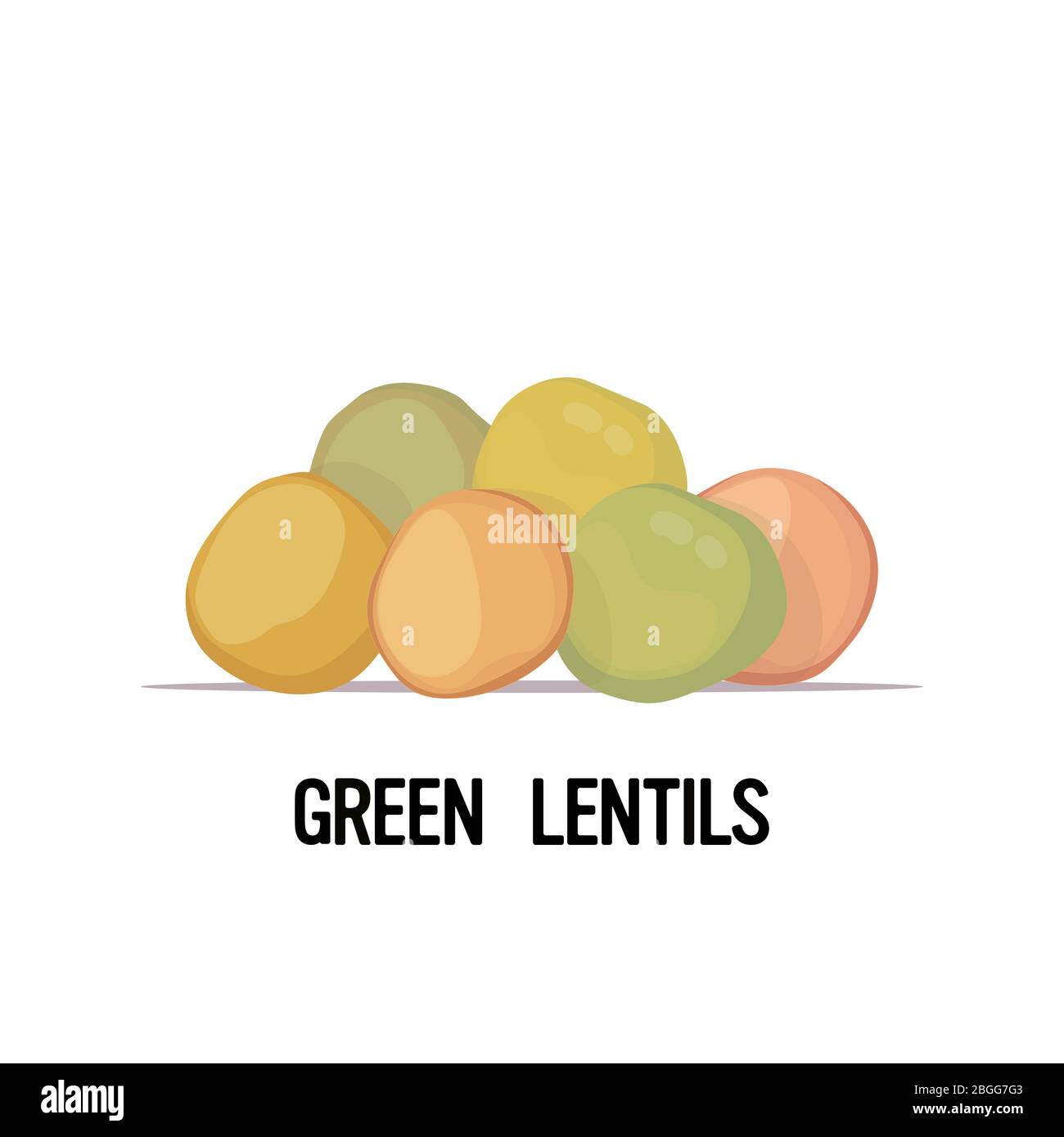 green lentils organic healthy vegetarian food on white background vector illustration Stock Vector