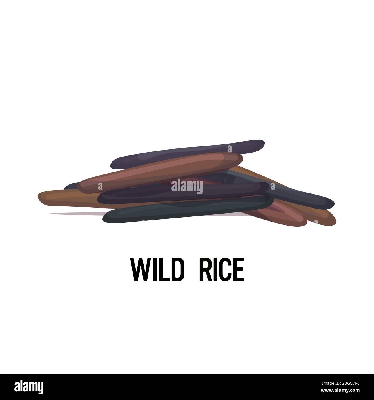 Wild Rice Vector Image wild rice grains organic healthy vegetarian food on white background ...