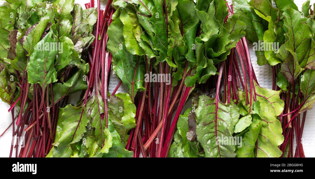 fresh vegetables - beet on the white background Stock Photo