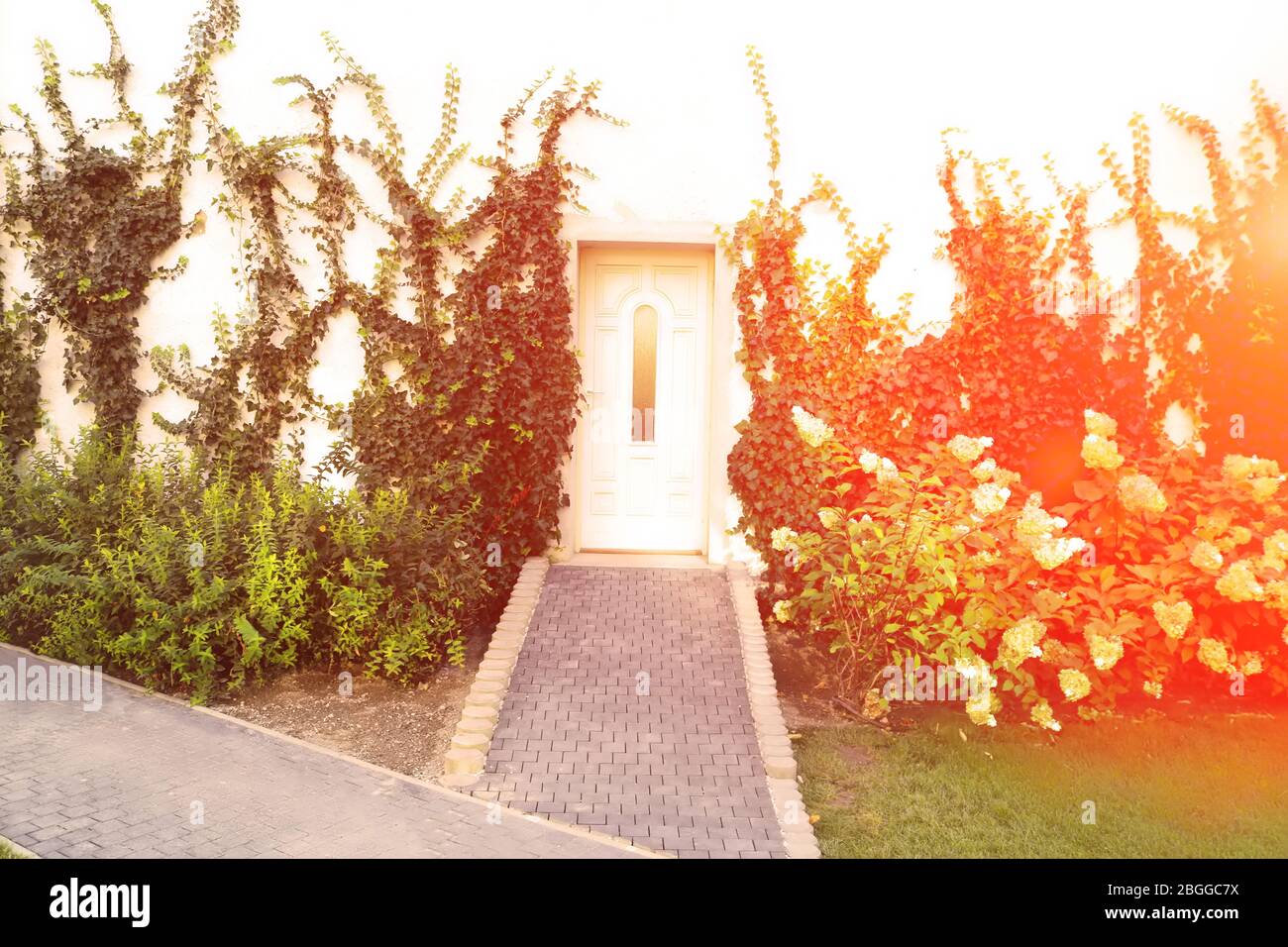 Door of garden house with flowers and red sunrise flare Stock Photo - Alamy