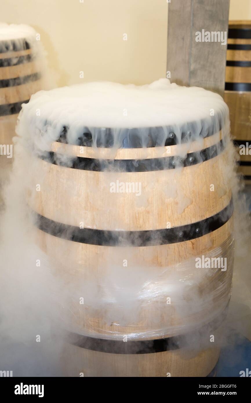 cellar white smoke dry ice in harvest wooden barrel for refresh grapes ...