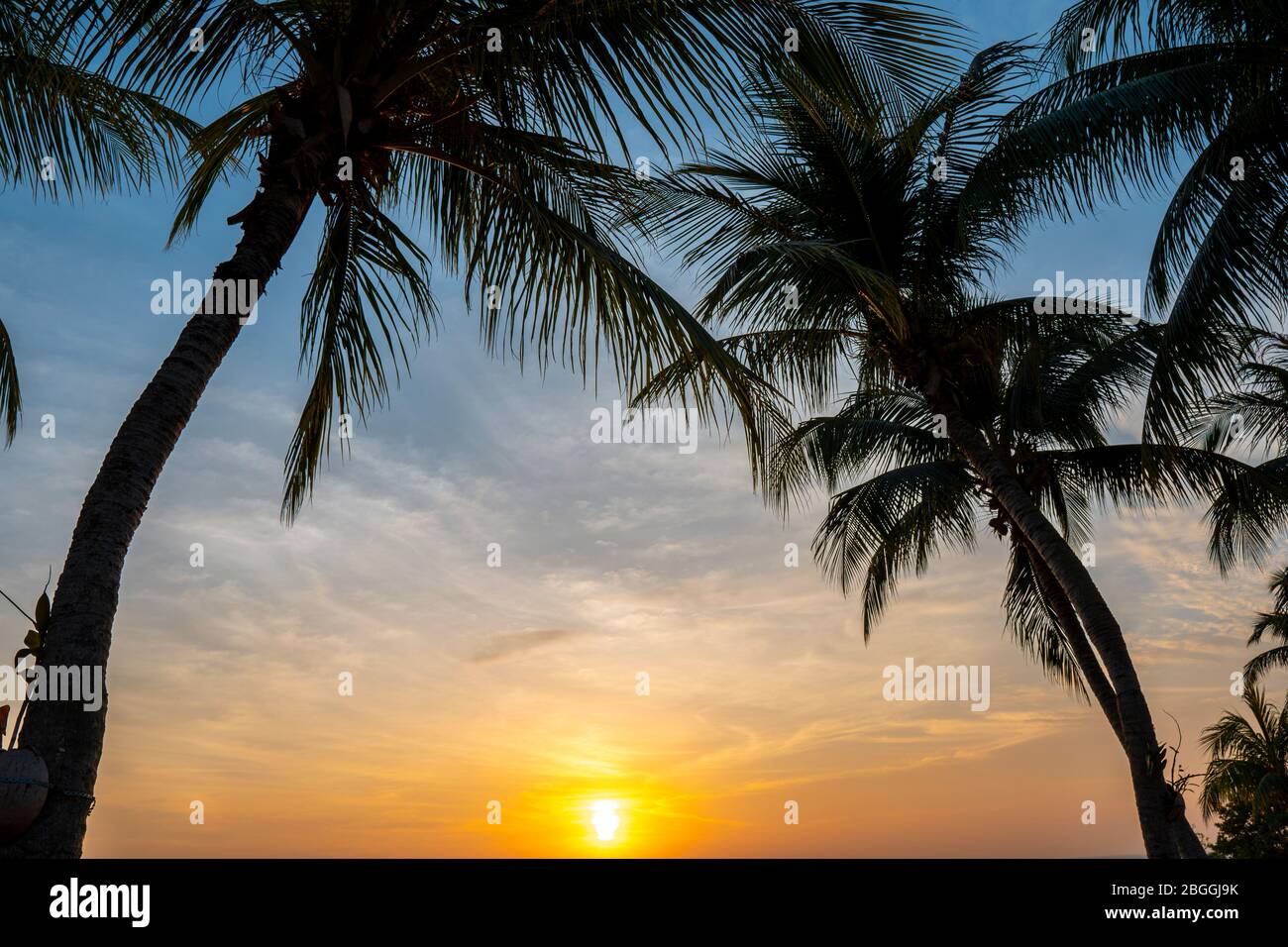 Romantic sunset with palm trees on the beach Stock Photo - Alamy