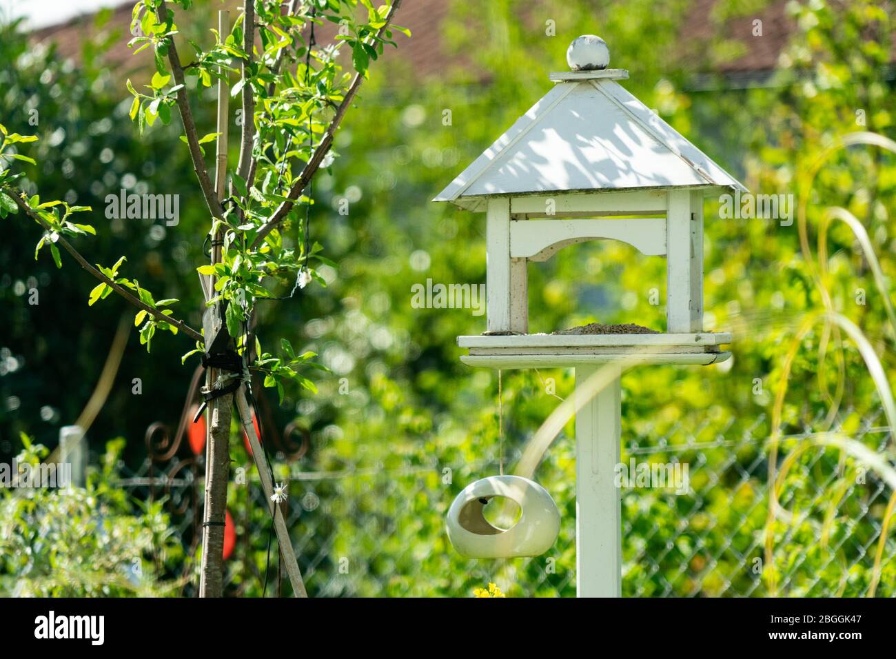 Neat white bird feeder in a garden in the dappled shade under a young