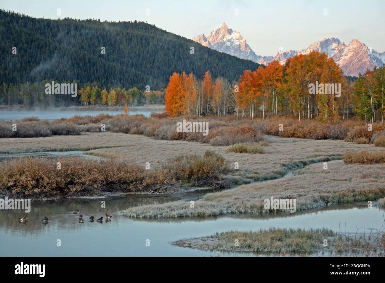 Sunrise in Oxbow Bend, Wyoming Stock Photo