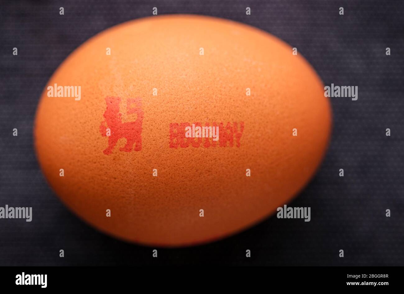 British Lion Marked Eggs quality mark logo on an egg. Stock Photo