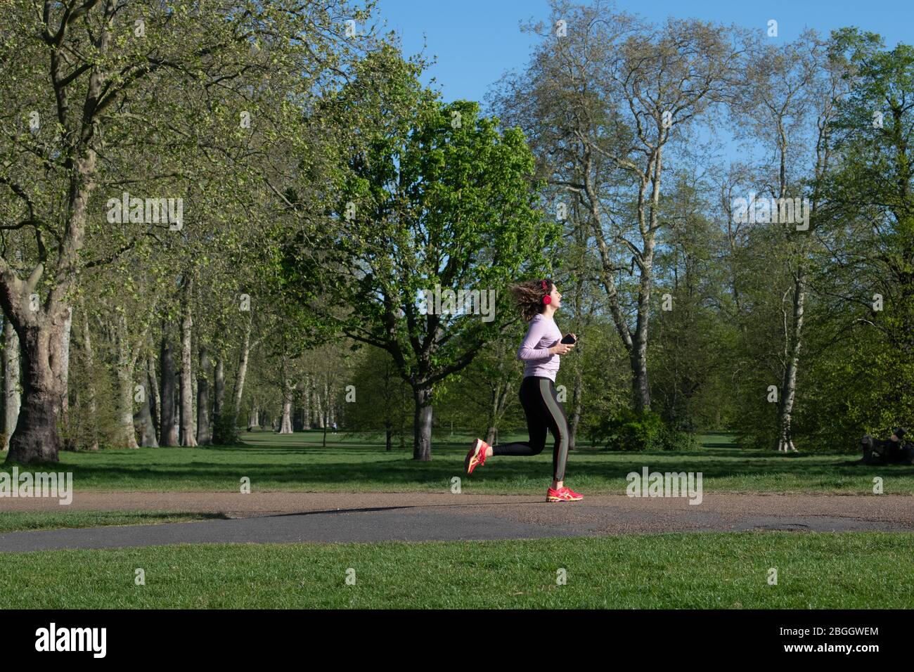 Woman running in Kensington Gardens during Lockdown in London UK, where one outdoor exercise a day is allowed. Stock Photo
