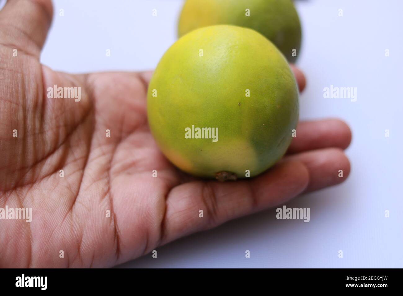 Yellow and green color whole ripe Sweet lime fruits or Citrus limetta Stock Photo