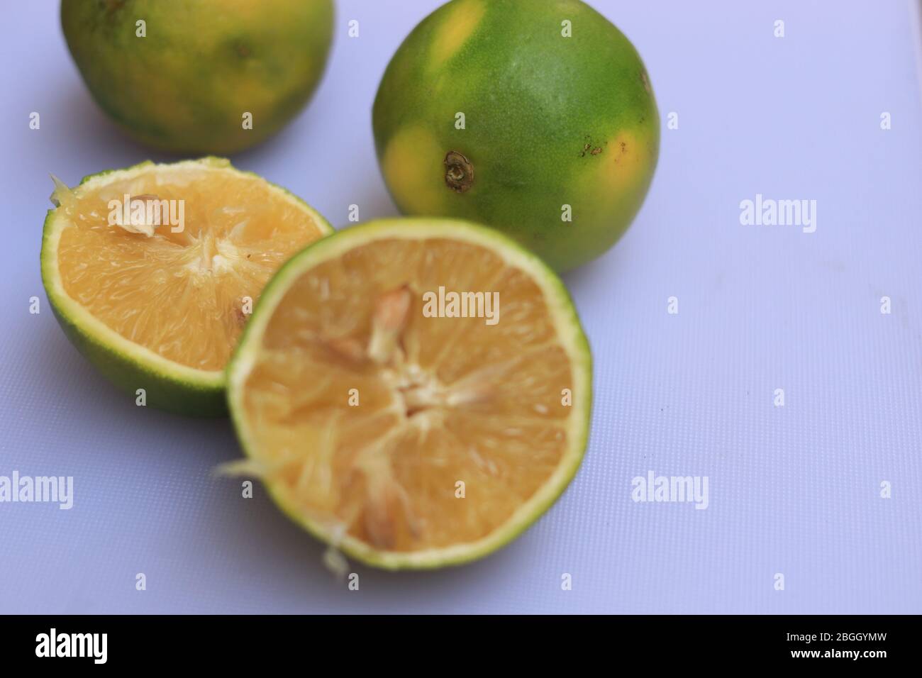 Yellow and green color whole ripe Sweet lime fruits or Citrus limetta Stock Photo