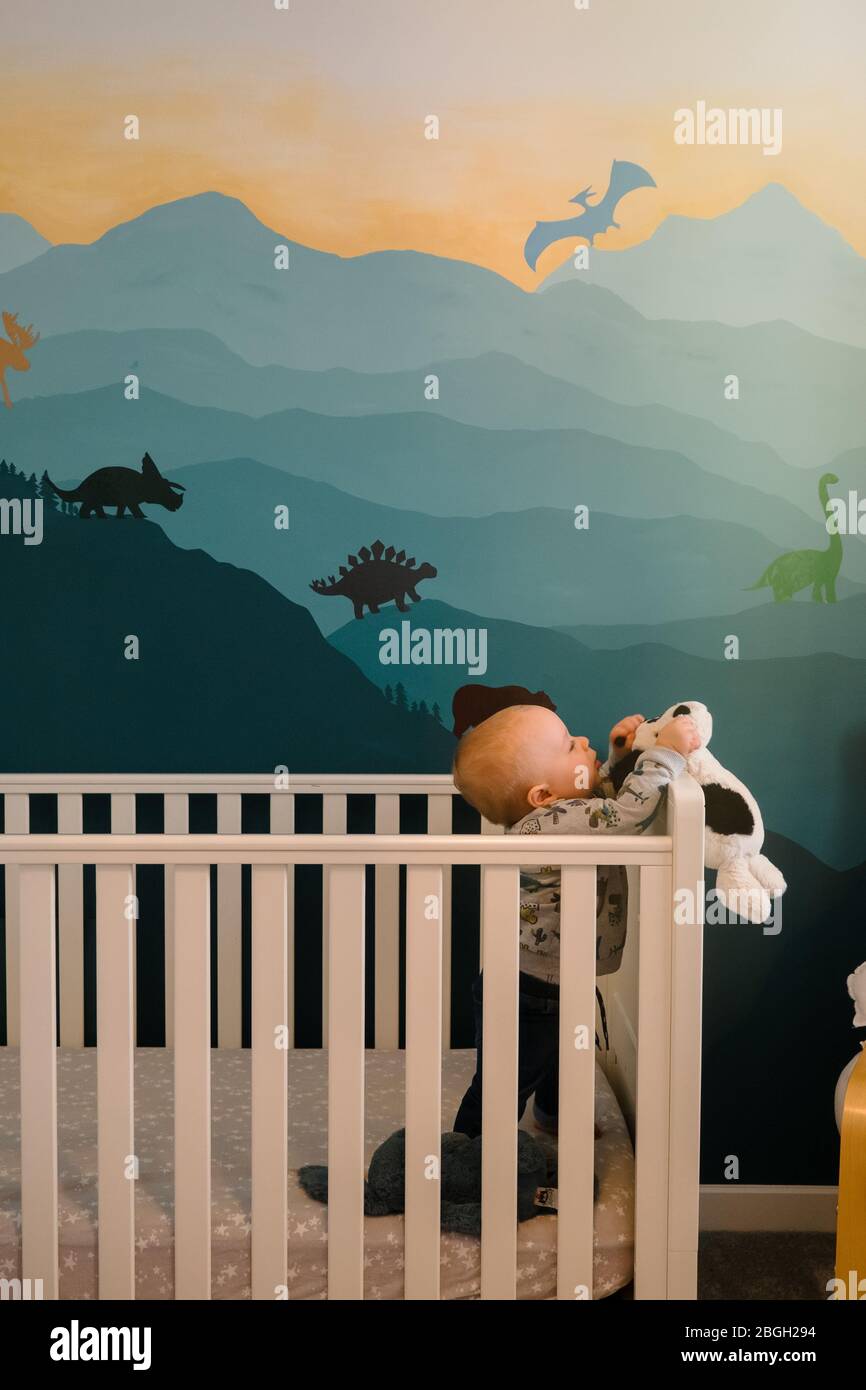 the range baby cot