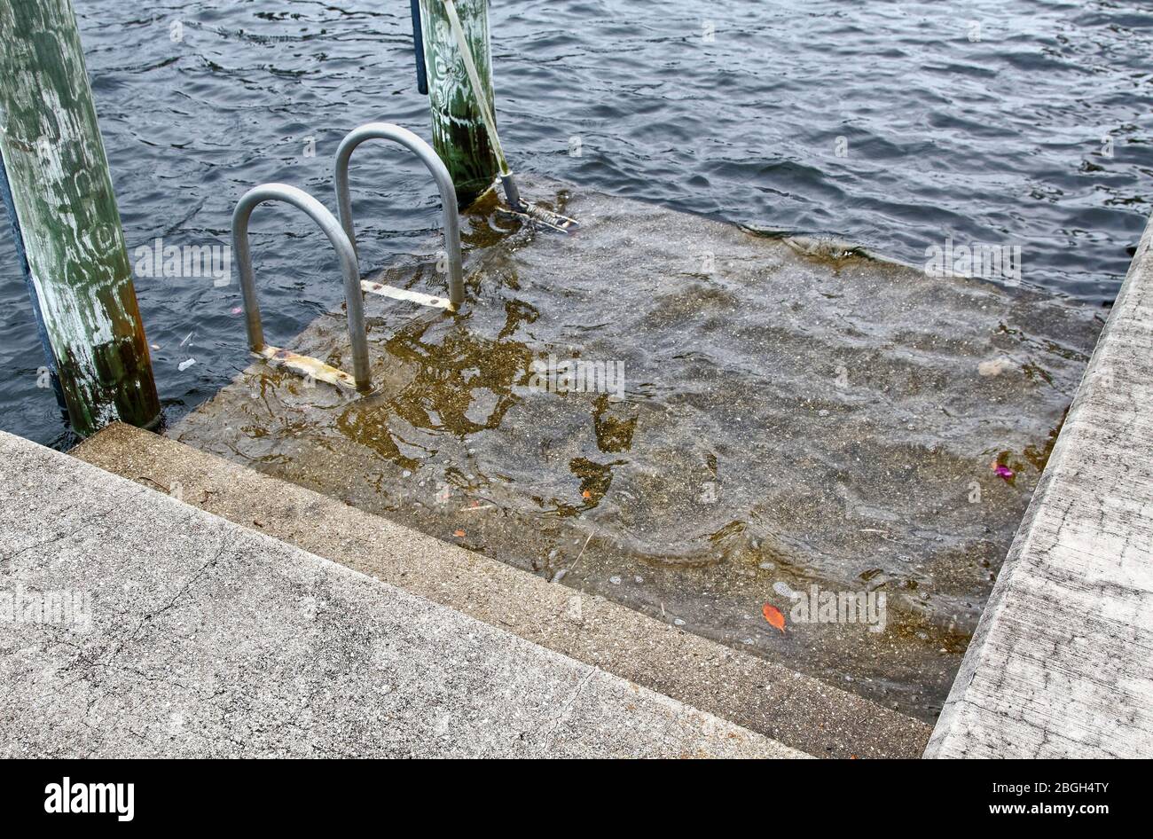 flooding water covering lowest section of dock; concrete, 2 steps, high water; aluminum swim ladder; weather event; wood pilings, Florida; USA; spring Stock Photo