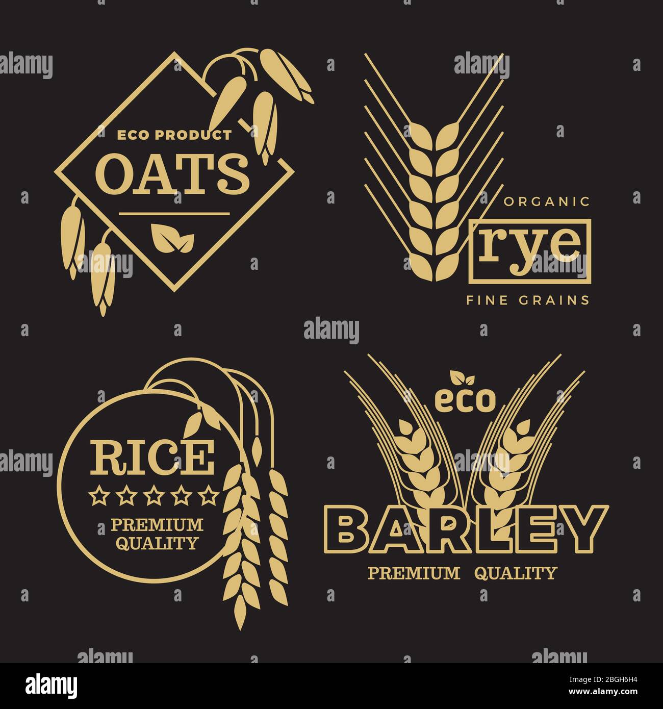 Gold organic wheat grain farming agriculture vector logo set on black background. Illustration of rice and barley, rye and on emblem Stock Vector