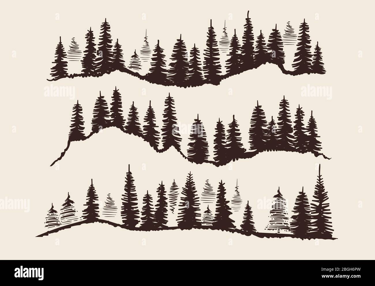 Vintage engraving forest. Doodle sketch fir-trees vector set. Illustration of fir and pine tree silhouette, forest sketch evergreen Stock Vector