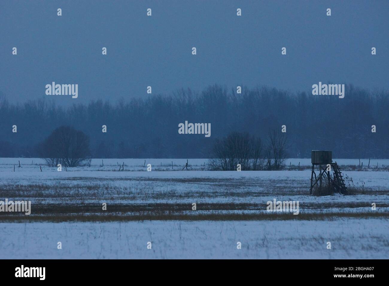 winterliches Feld am Abend mit Hochsitz Stock Photo
