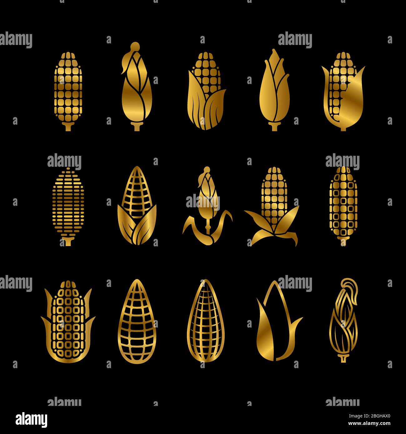 Fresh golden corn harvest vector icons set isolated on black illustration Stock Vector