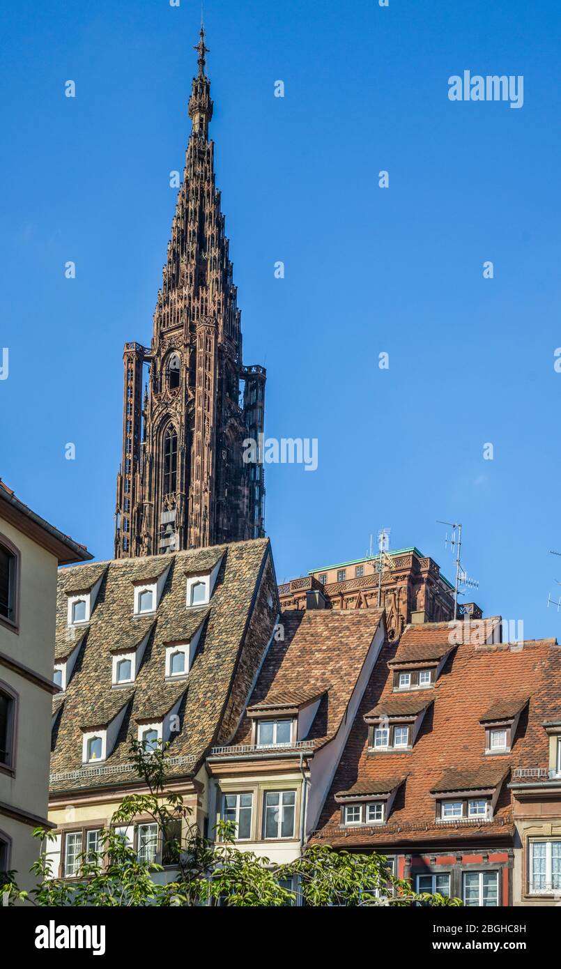 the spire of Strasbourg Cathedral towers over the historic city centre, Strasbourg, Alsace, France Stock Photo