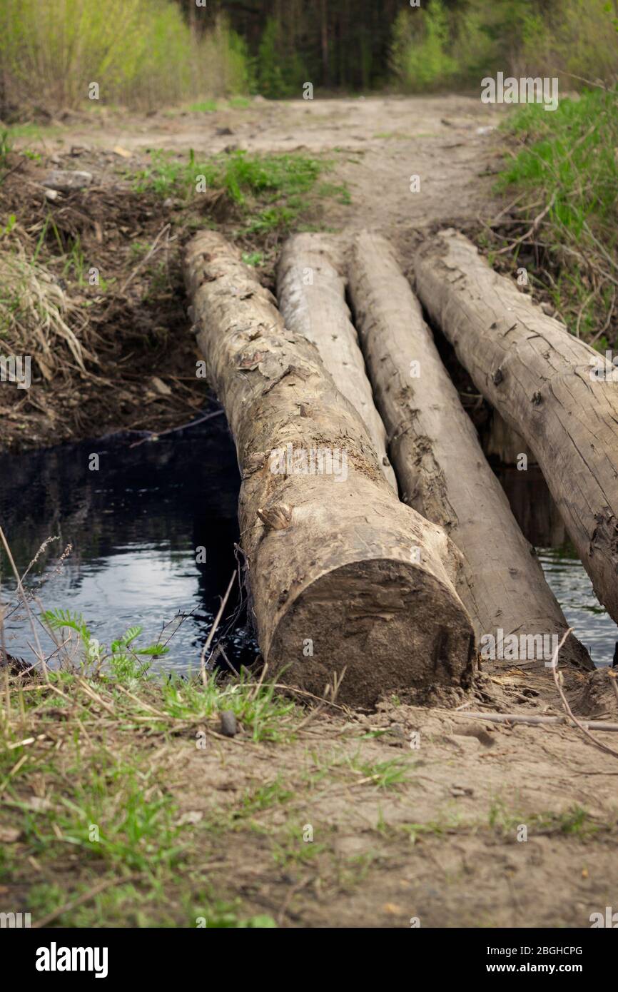 Thick logs as a crossing over a stream. Spring in forest Stock Photo