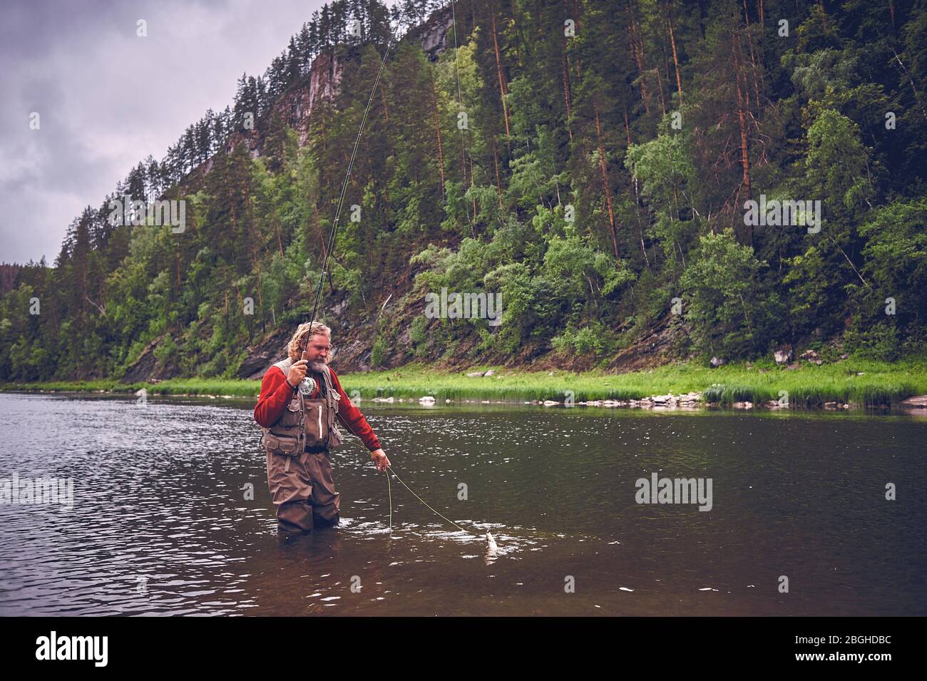 fly fishing angler makes cast while standing in water Stock Photo Alamy