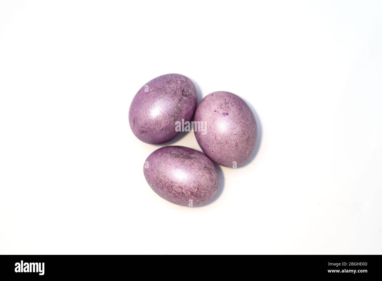 what chicken lays a purple egg