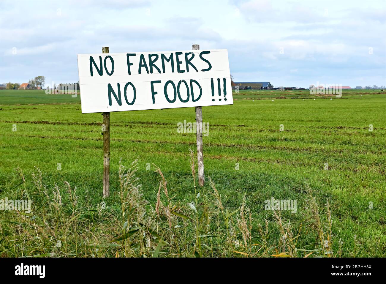 Sign in agricultural field with text No Farmers No Food. Farmers in the Netherlands protesting against forced shrinking of livestock because of CO2. Stock Photo