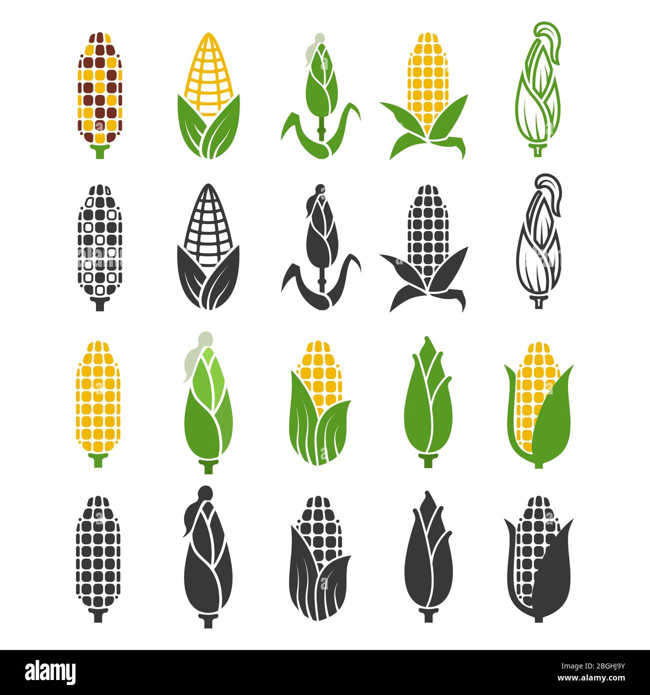 Black and color corn harvest icons isolated on white background. Vector maize silhouette, harvest plant nature illustration Stock Vector