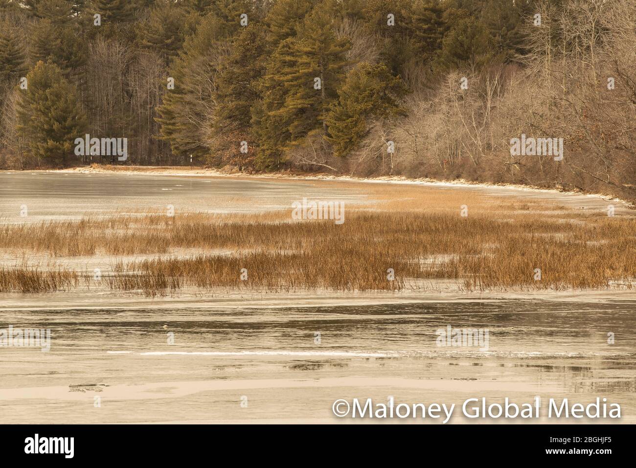 Frozen surface of Lake Massabesic, Auburn, New Hampshire. This is the