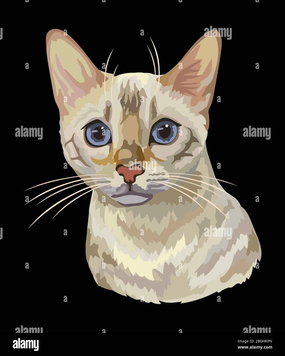 Page 2 Cat Drawing Color Pencil High Resolution Stock Photography And Images Alamy Here, you'll find free impartial i've also included the different types/colours that you can now buy. https www alamy com colorful vector drawing portrait of snow bengal cat in black color isolated on black background colorful realistic portrait of cat vector illustrati image354430573 html