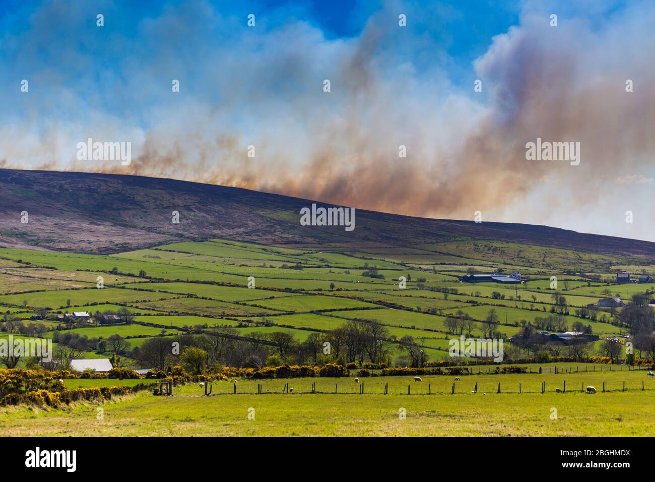 Gorse Fire North Antrim Hills Stock Photo