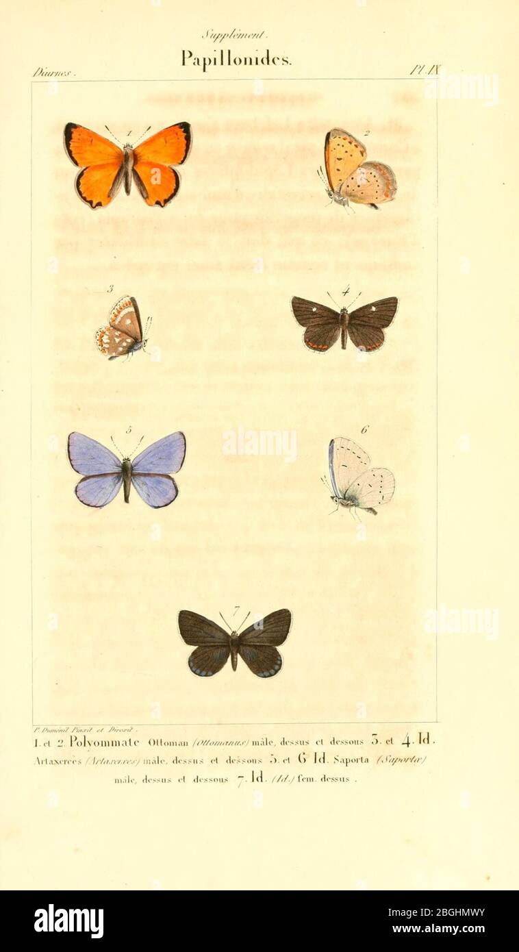 Histoire naturelle des lépidoptères ou papillons de France, par M. J.-B. Godart Stock Photo