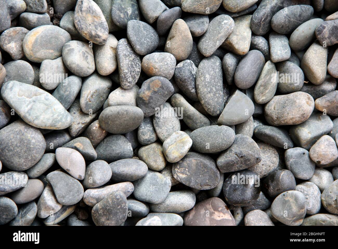 Coral stone hires stock photography and images Alamy