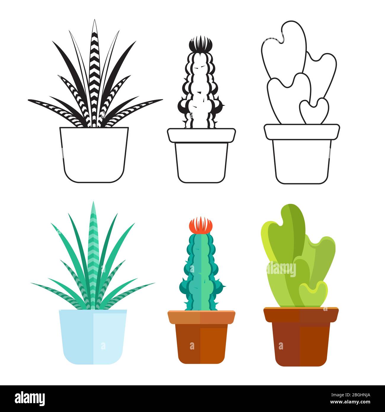 Popular succulents line and cartoon set - home plants cactus icons. Vector illustration Stock Vector
