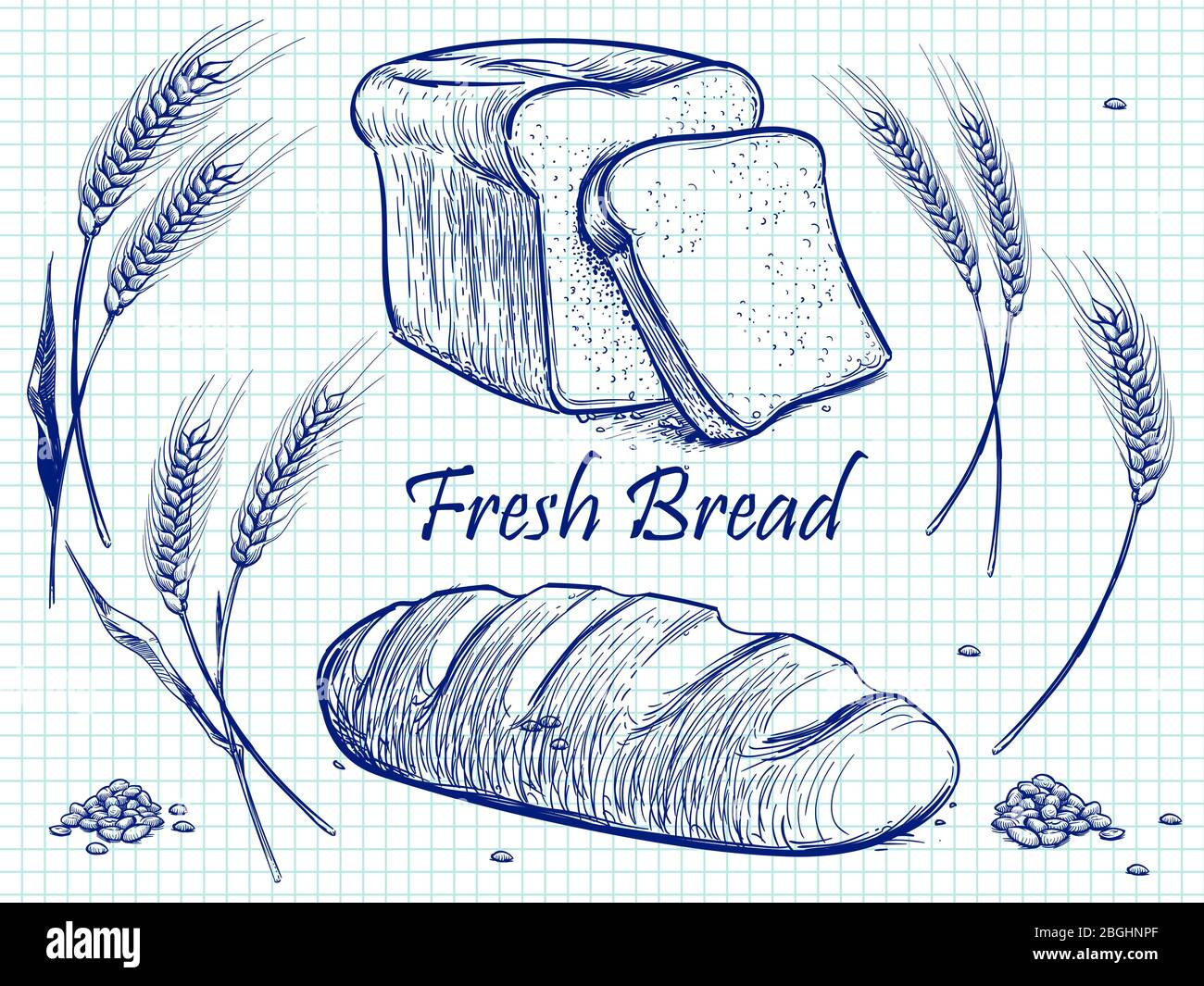 Sketch bunch of wheat ears, bread and grains. Vector bakery illustration on notebook page. Food organic from harvest Stock Vector