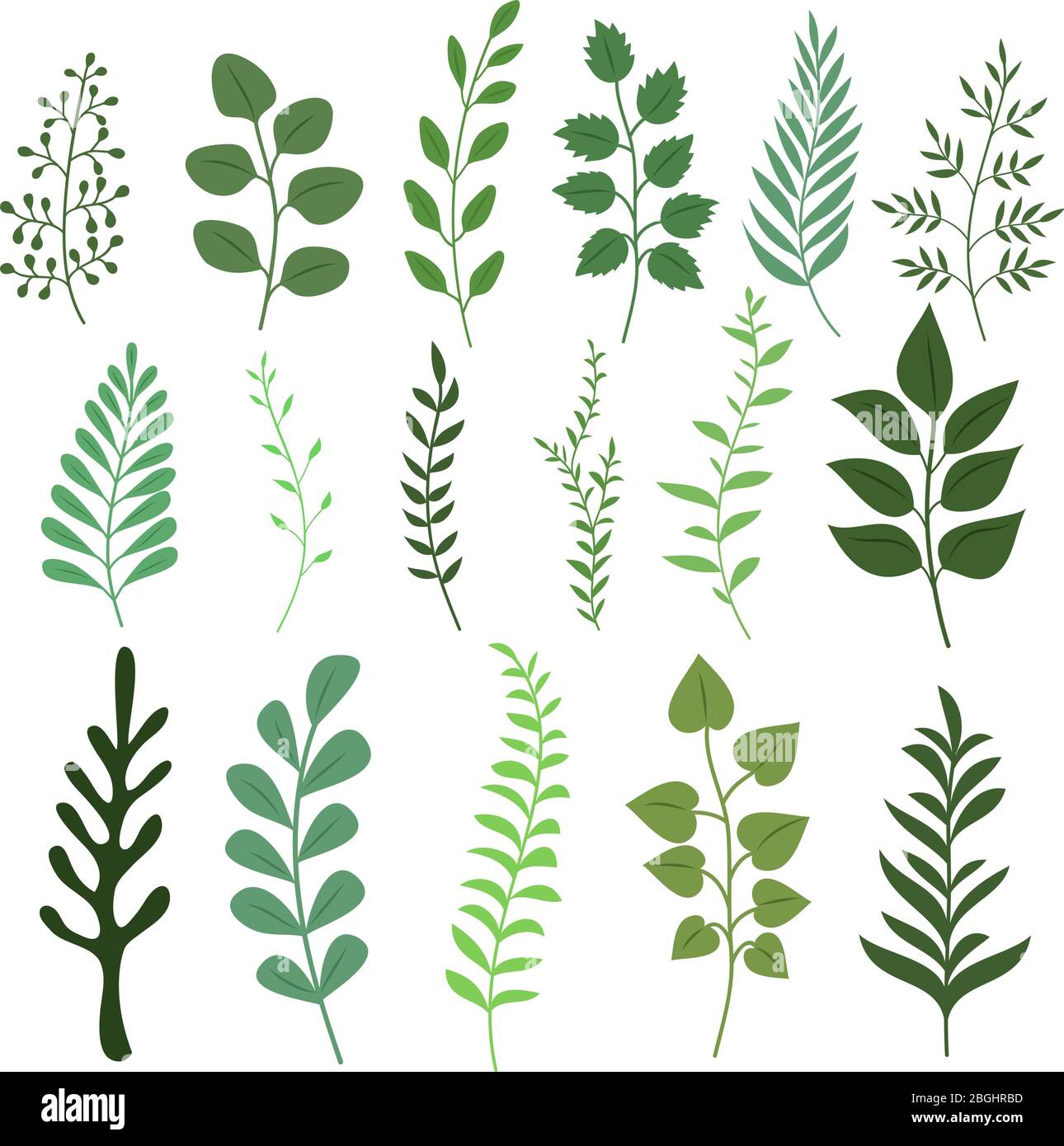 Plant branch with green garden leaves vector set. Branch green and leaf floral illustration Stock Vector