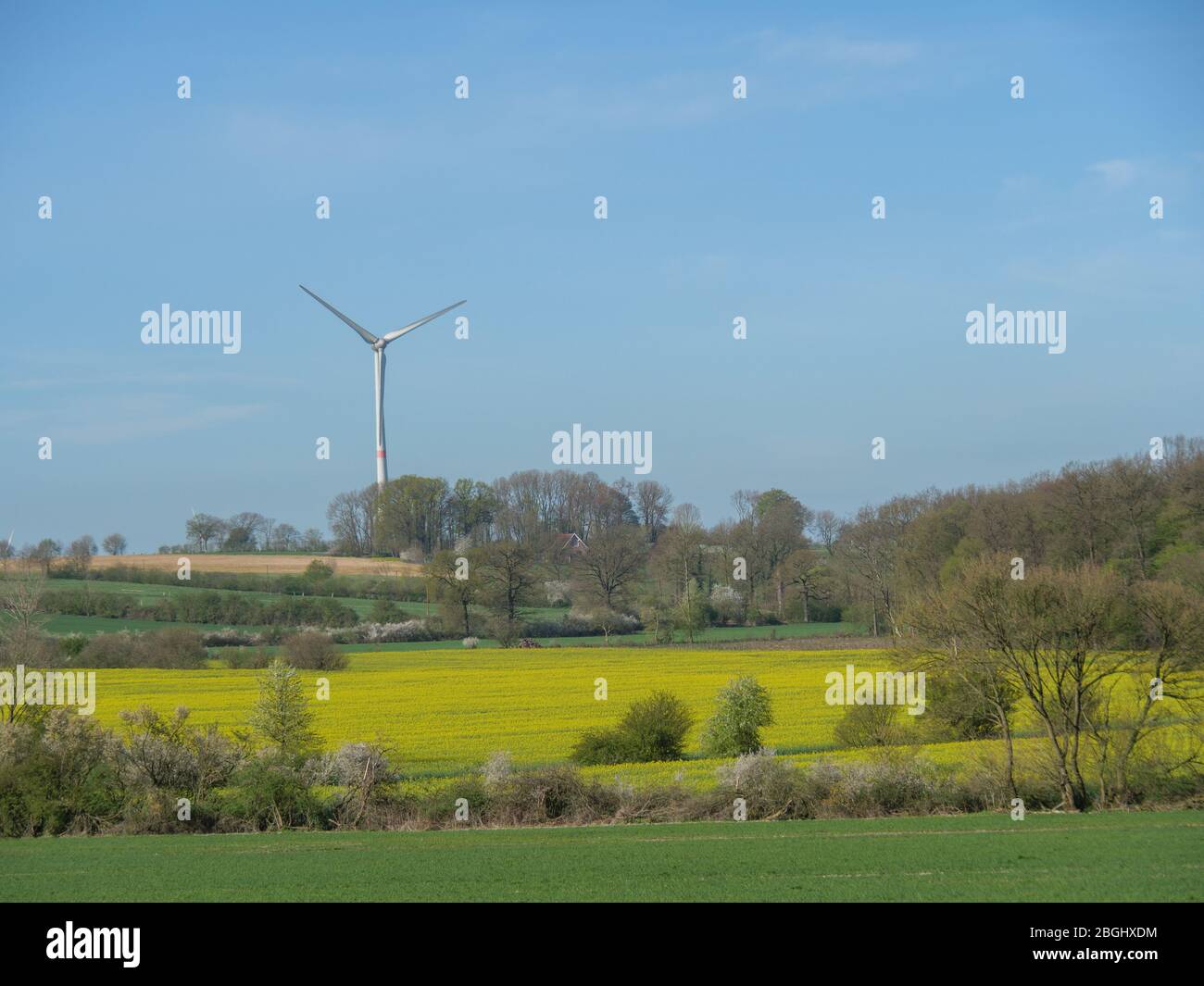 spring time in germany Stock Photo Alamy