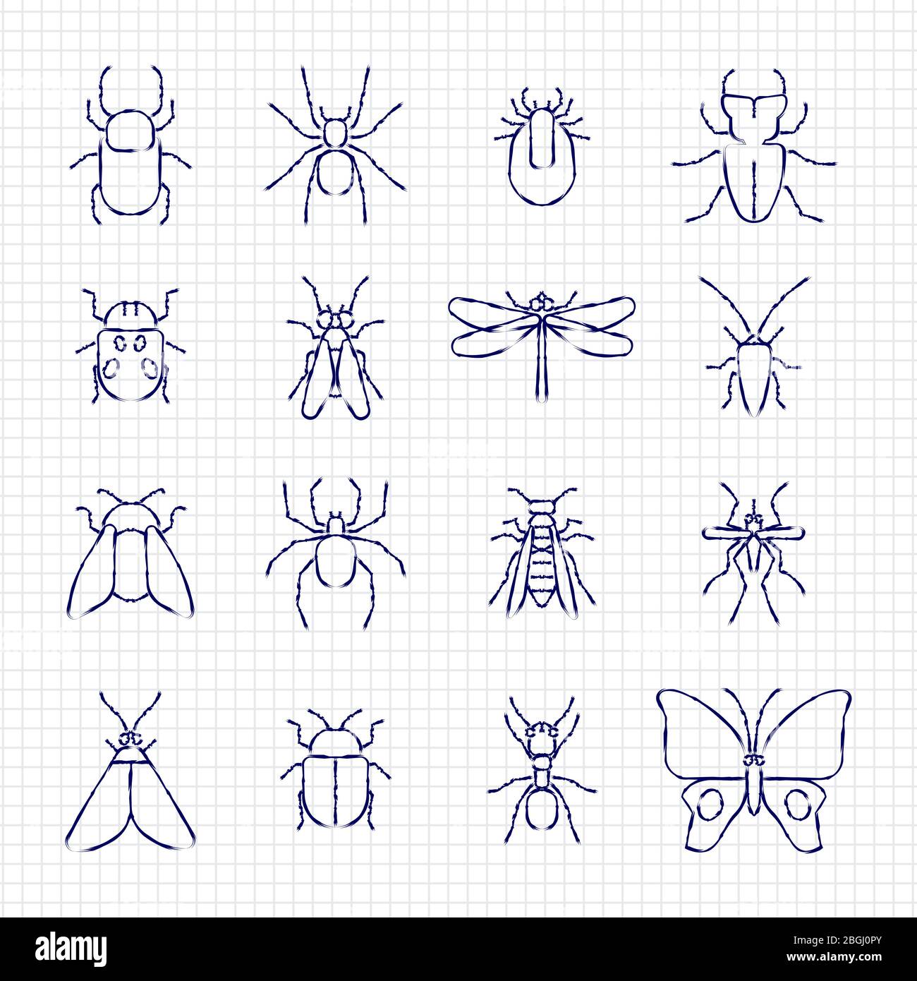 Details 68+ sketch of an insect super hot - seven.edu.vn