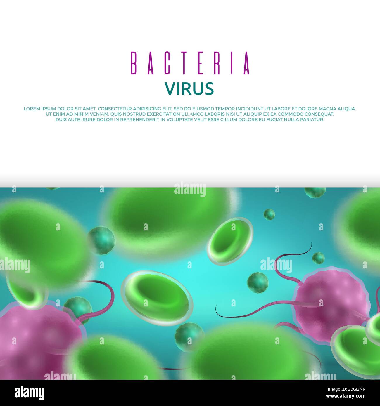 Vector bacteria viruses banner or poster template. Healthcare medical flyer template illustration Stock Vector