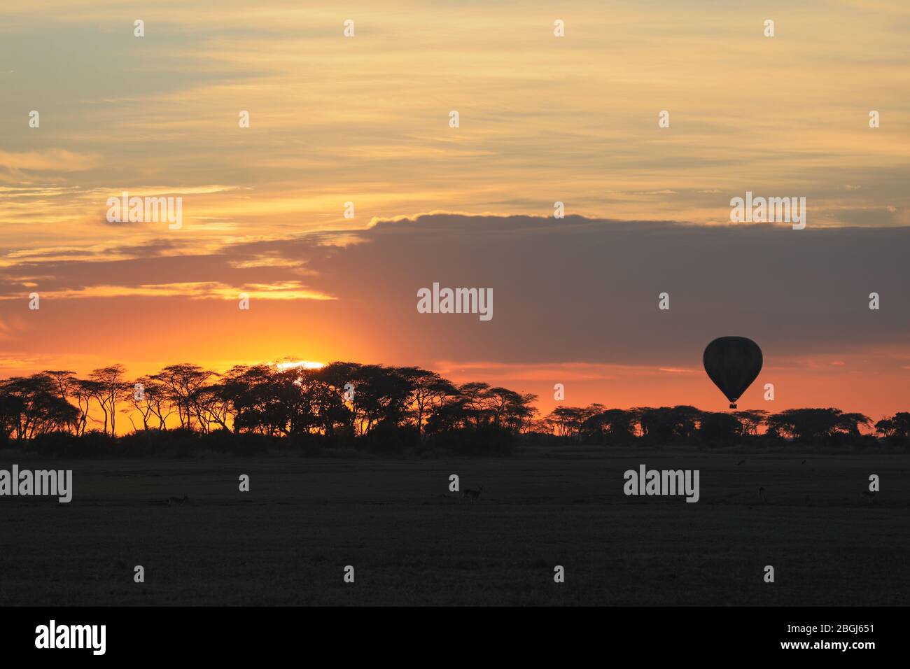 Busanga Plains is an exclusive safari destination in  Kafue National Park, North Western Province, Zambia, where hot air ballooning is popular Stock Photo