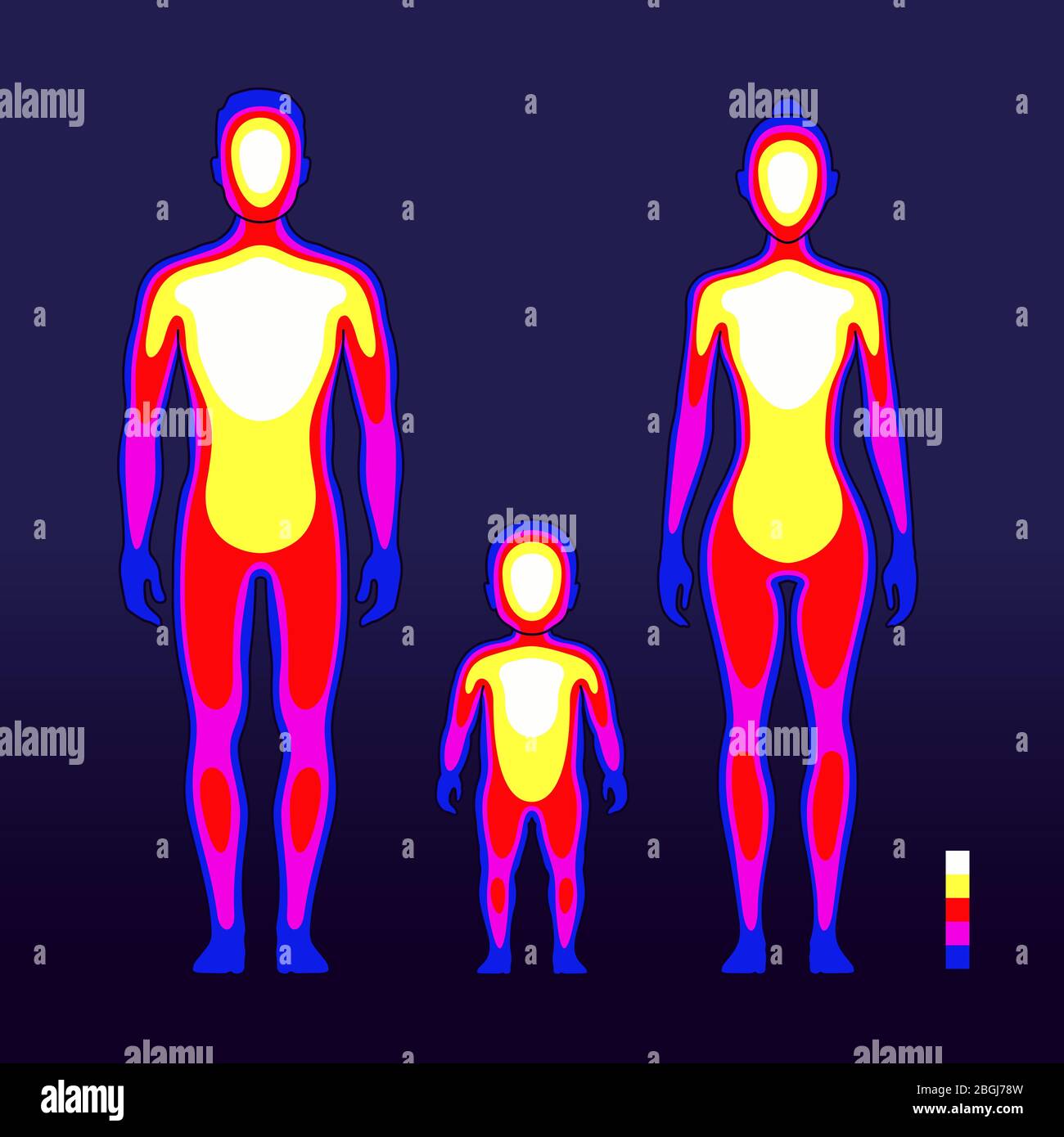 Male and female body warmth in infrared spectrum. Human temperature