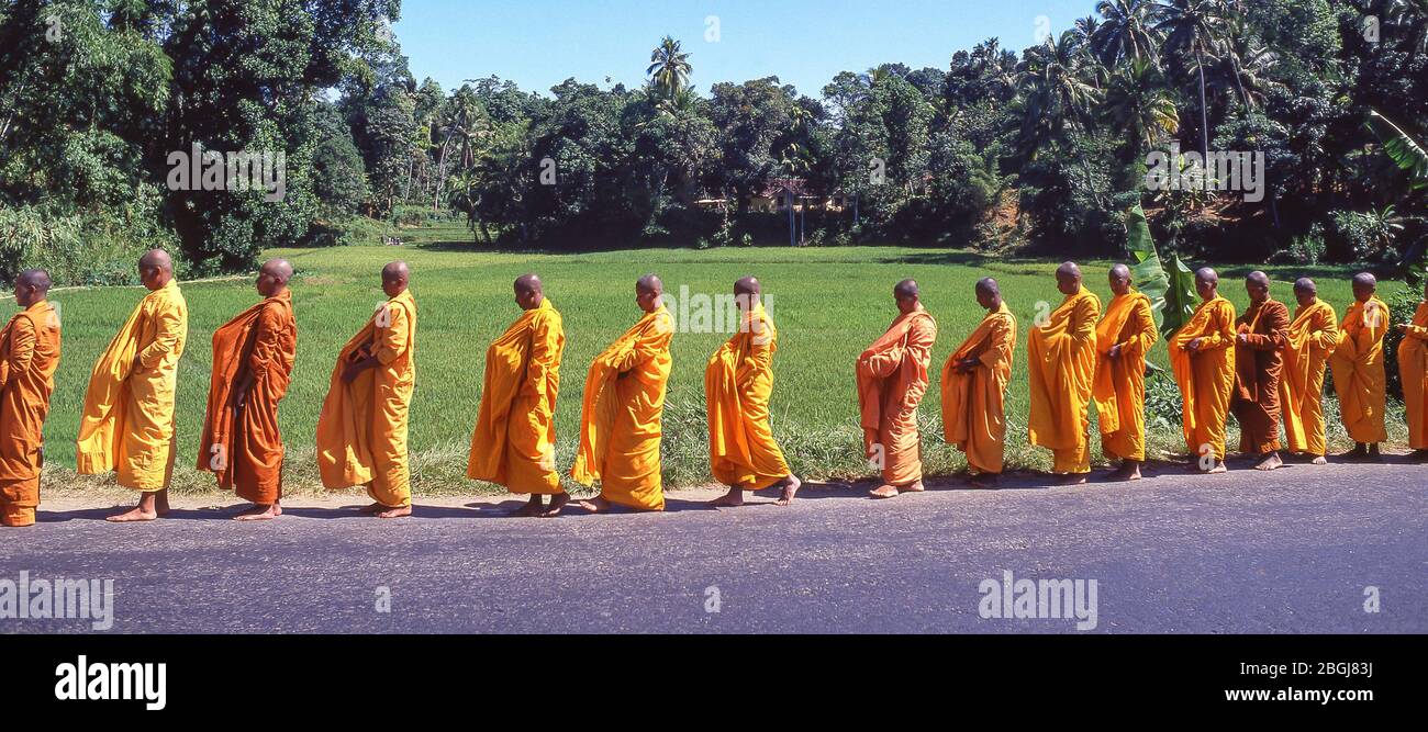 Line of Buddhist monks walking on side of road, Southern Province, Sri Lanka Stock Photo